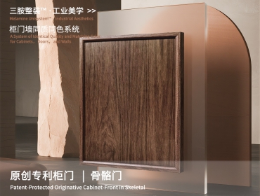 Skeletal Panel with Patent