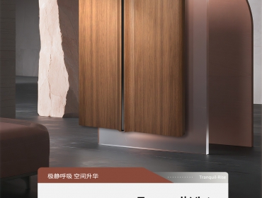 R50（极静免拉手）-专利