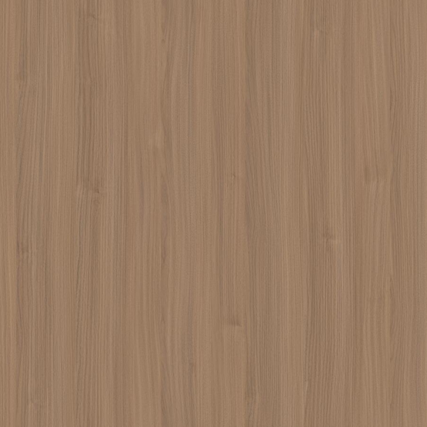 W24-2070-1北美胡桃（north america walnut）